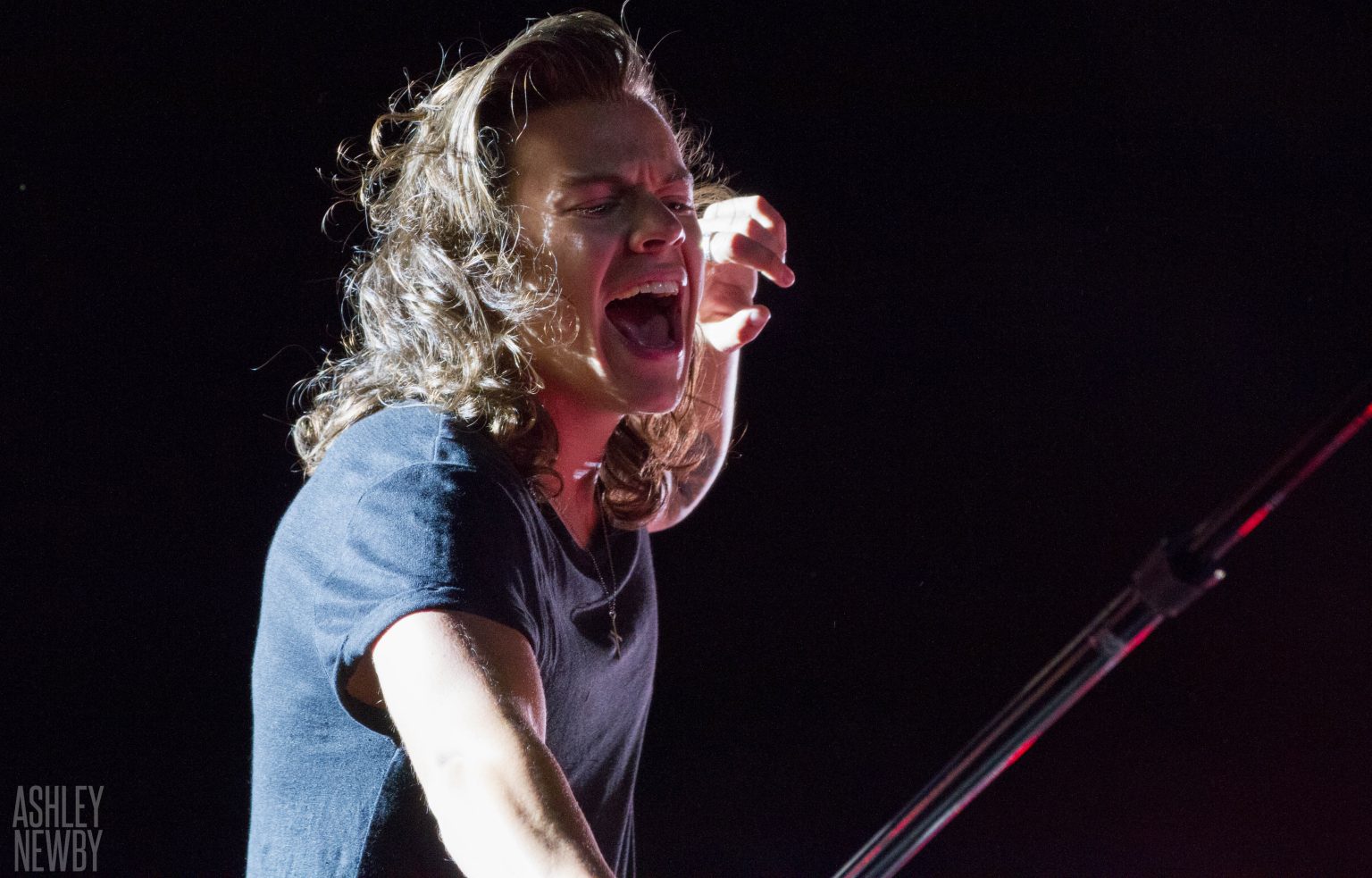 How Tall Is Harry Styles? A Look at the Singer’s Height